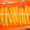 Fresh Red Carrot Packed in 10kg Carton for Korean Market