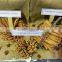 CASSIA (CINAMON) BEST QUALITY/PRICE- SKYPE: VISIMEX02