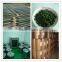 Super nutraceuticals OEM bulk spirulina powder