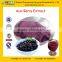 GMP Certified Factory Supply Natural Acai Berry Extract Powder