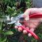Garden pruning shears professional pruning tools Made in Japan