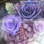 save10% 5pcs of preserved blue rose in Preserved Flower Photo Frame for home or office decoration
