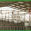 pig animal farming / farm equipment
