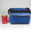 Tinfoil Mesh Insulated Cooler Bag for Medicine (BCP049)