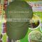 Fishing Sports Fly Fishing Hats