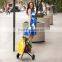 portable folding Shopping Cart with hook