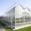 Venlo Glass Greenhouse for tomato cucumber flower horticulture