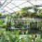Enjoy Greenhouse garden