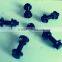 Black coated screw and nut assembly