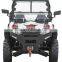 Automatic EEC 250cc UTV/12KW EFI 250cc UTV (TKU250E-2A)