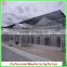 Commercial steel frame Venlo polycarbonate greenhouses for sale