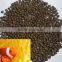 Efficient dog fish cat food production line