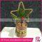 Factory high quality wholesale table decoration small christmas tree for New Year decoration