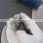 New Thermostat Bimetal Coil Thermostatic Bimetallic Spiral Coils