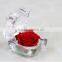 New Products Natural Fresh Preserved Flower Roses Multicolored Preserved Flower