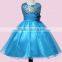 American Princess Flower Kid Girls Party Dress A Little Baby Girls Floral Fluffy Baby Dress One Piece Dress