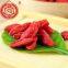 Goji fruitNingxia dried goji berry dried fruit