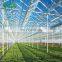 2019 glass commercial Tunnel Greenhouses for sale