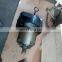 336D Travel Motor Excavator Spare Parts 2716376