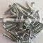 Electro Galvanized Concrete Nails/Steel Nails