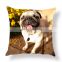 Design Picture Here Print Pet Wedding Personal Life Photos Customize Gift Home Cushion Cover Pillowcase Pillow cover
