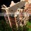 3D architectural building 1 500 scale model of railway station