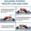 Ab Roller Wheels 5 In 1 Kit Professional Push Up Bar High Quality 2 Pairs Of Resistance Bands Indoor With Mat