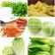 Industrial Famous Vegetable and Fruit Cutter Slice and Strips Adjustable for Spanich Salad Watercress