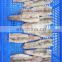 Wholesale bulk packing frozen squid tube with skin