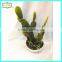 14cm New Design Hot Sale Artificial Mini Artificial Plants