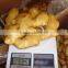 2015 best quality of the ginger with good price