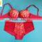 2016 New Designed Lace Woman Bra Set Underwear