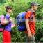 Daily Outdoor Backpack Camping Hiking Backpack