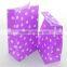 Promotion Paper Bag/Cheap Craft Paper Bag