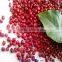 new crop azuki beans(heilongjiang)