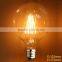 edison lamp incandescent bulbs G125
