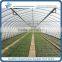 Plastic Flim Tunnel Agricutural Greenhouse for Flowers / Vegetables