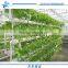 6 M PE Plastic Film Greenhouse for vegetables and flowers