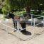 Factory price steel galvanized horse fence panel