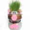 Saler China Supplier Best Children's Toys Business