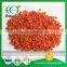 Aaa Grade Bulk Dehydrated Fresh Carrot