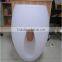 Led Flower pot by rotomold