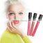 Hot Sales Women Ladies Waterproof Elegant Color Lipstick Matte Smooth Long Lasting Lip Stick Lipgloss