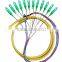 waterproof SC apc singlemode fan-out fiber optic pigtail,bundle 12 cores sc fiber pigtails