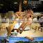 MY Dino-C048 Playground dinosaur skeleton of spinosaurus