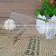 340ml glass tumbler with thin bottom