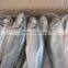 25cm+ Horse Mackerel (Trachurus japonicus)