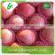 Hot Sale Fresh Organic Fuji Apple for Sale