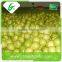 Fresh sweet honey pomelo fruit