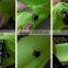 Yiwu Factory Promotional High Qulity Air Baby Car Bed